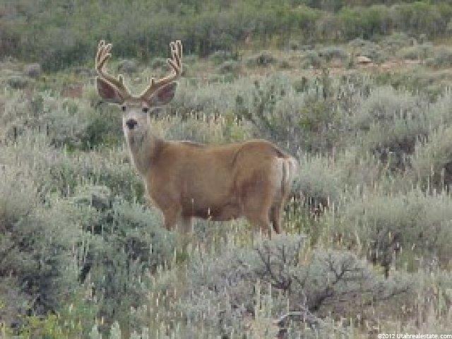 266 N Sage E #266, Wanship, UT 84061 — photo 3