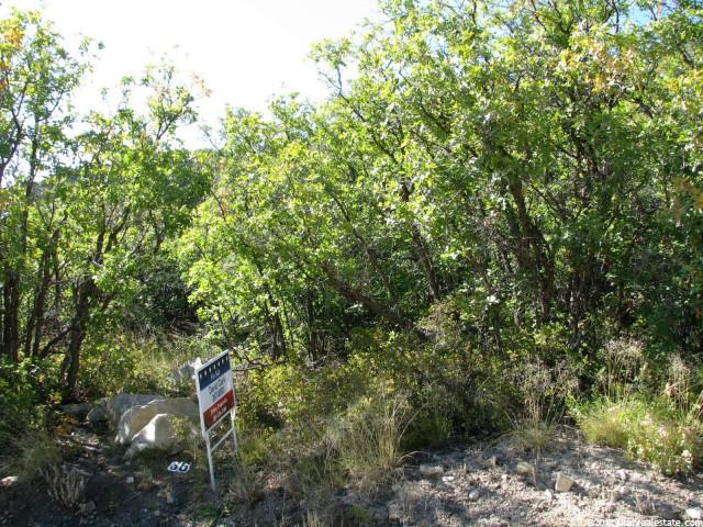 23000 N 14500 E #36, Fairview, UT 84629 — photo 3