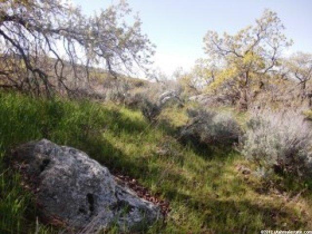 408 E Greystone Dr #306, Farmington, UT 84025 — photo 11