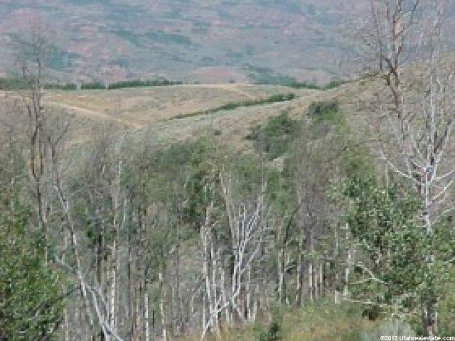 50 N Cherokee Pass #50, Echo, UT 84024 — photo 3
