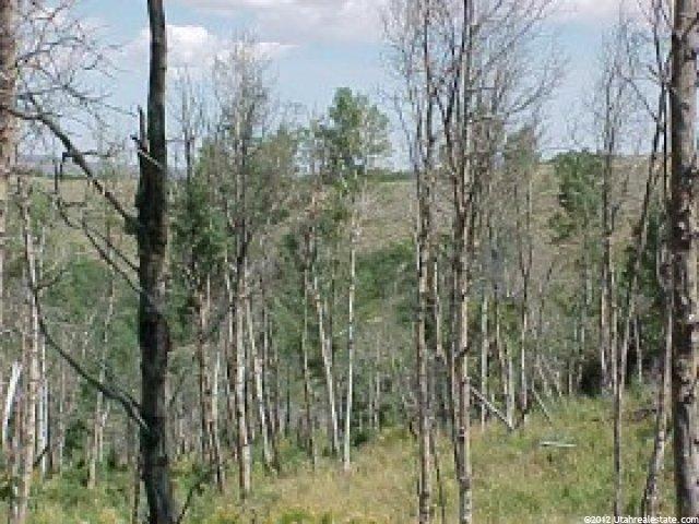 50 N Cherokee Pass #50, Echo, UT 84024 — photo 5
