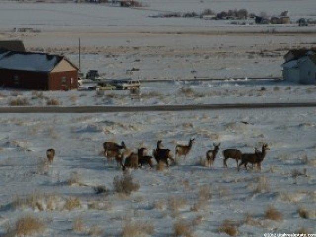 11000 Cullimore Ln, Thatcher, UT 84337 — photo 2