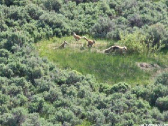 900 Bitner Rd #E-33, Park City, UT 84098 — photo 12
