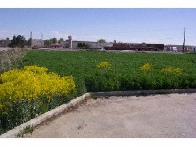 2600 N Hwy 89 E, Pleasant View, UT 84404 — photo 4