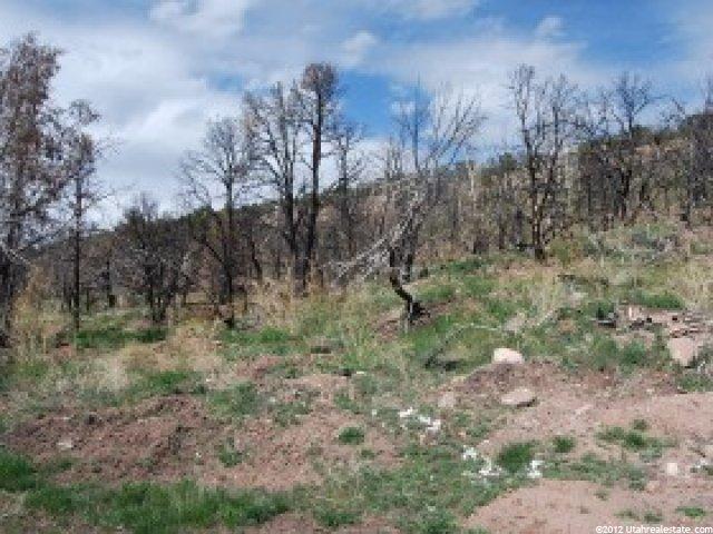 15564 N 2250 E, Whiterocks, UT 84085 — photo 6