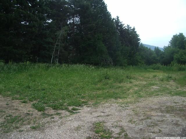 234 E Mutton Hollow Rd #2, Kaysville, UT 84037 — photo 4
