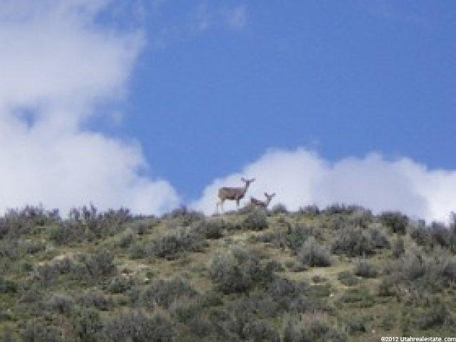 53 Brown Cyn #53, Oakley, UT 84055 — photo 3
