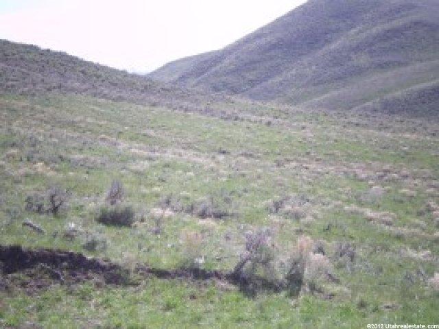 53 Brown Cyn #53, Oakley, UT 84055 — photo 5