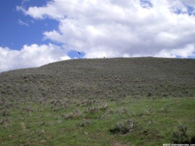 53 Brown Cyn #53, Oakley, UT 84055 — photo 6