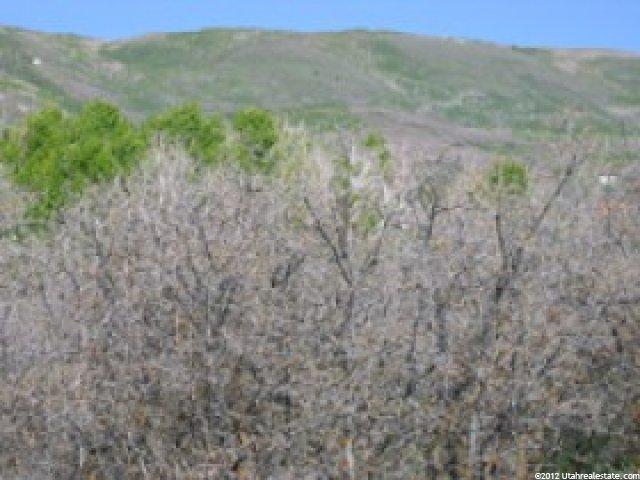 1101 E Ridge Pine Dr #1101, Timber Lakes, UT 84032 — photo 4