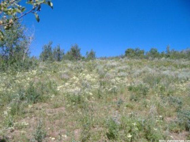 97 Bear #97, Montpelier, ID 83254 — photo 10
