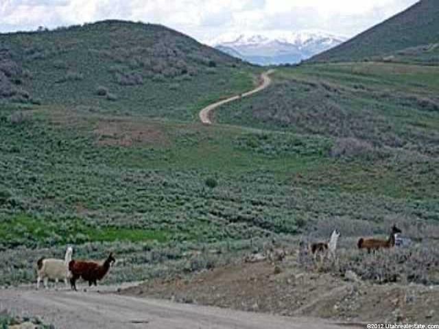 4387 Garff Ranch Rd, Kamas, UT 84036 — photo 2