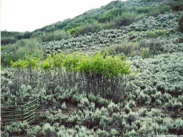 4387 Garff Ranch Rd, Kamas, UT 84036 — photo 5