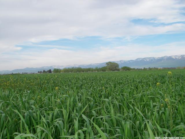 4200 W 13000 N, Cornish, UT 84308 — photo 2