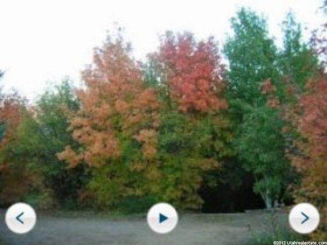 1340 Bird Dr, Midway, UT 84049 — photo 4