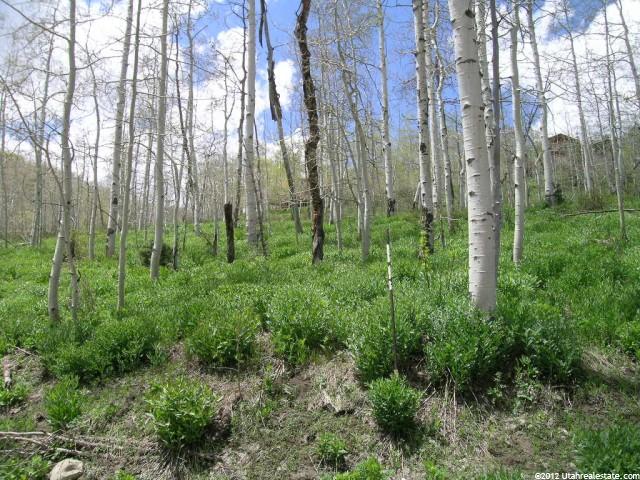 2003 Uintah View Dr #G84, Wanship, UT 84017 — photo 2