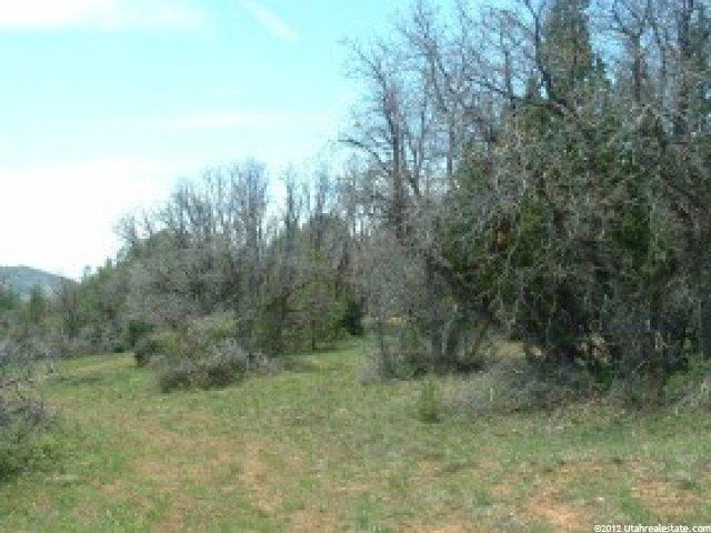 13500 N 13700 E, Mt Pleasant, UT 84647 — photo 7