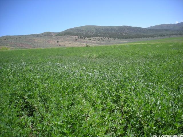 3700 N 9000 E, Indianola, UT 84629 — photo 2