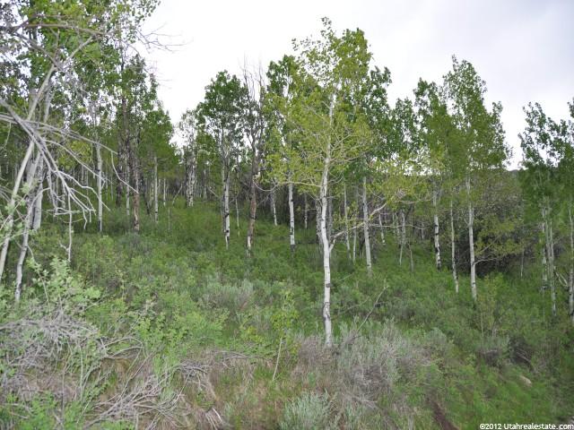 100 Aspen Way, Oakley, UT 84055 — photo 7