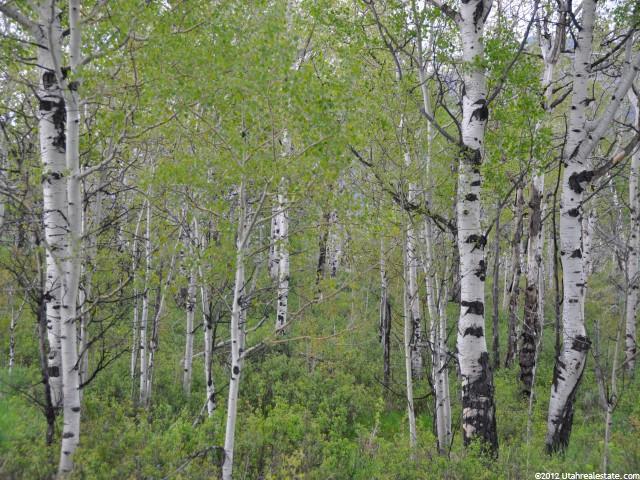 100 Aspen Way, Oakley, UT 84055 — photo 10