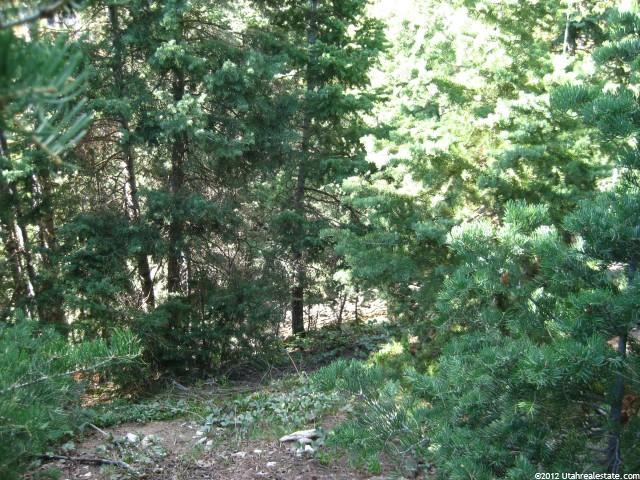 14840 N 13490 E, Mt Pleasant, UT 84647 — photo 11