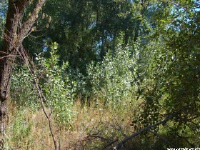 2100 E 6200 S, Holladay, UT 84121 — photo 9