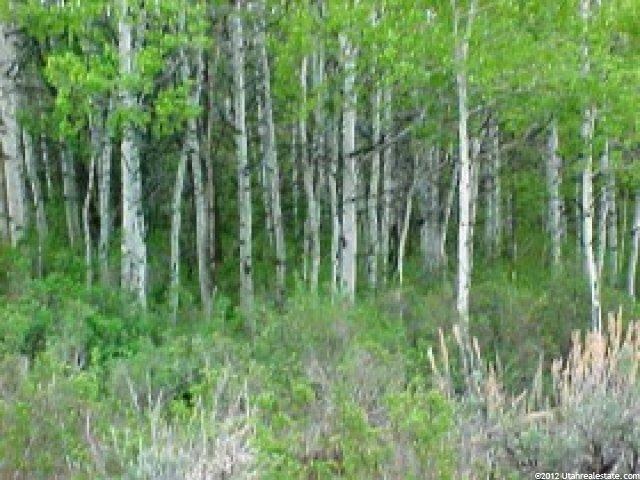 25 S Main Loop Rd #25, Echo, UT 84024 — photo 4