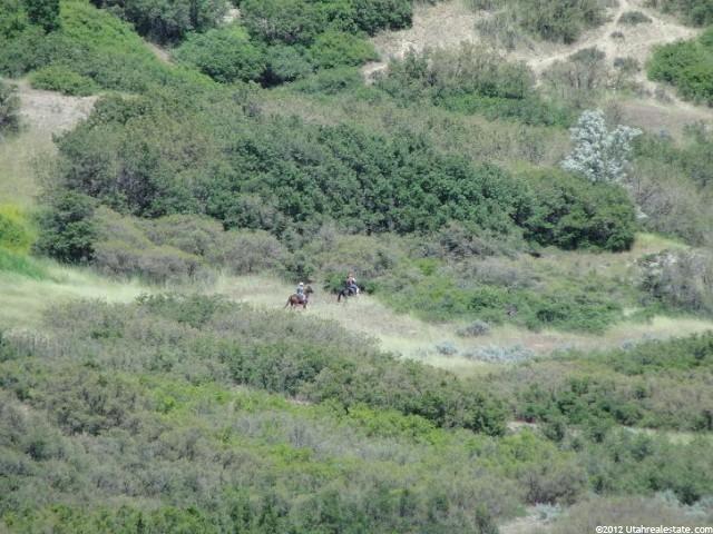 2204 Dimple Dell Rd, Sandy, UT 84092 — photo 10