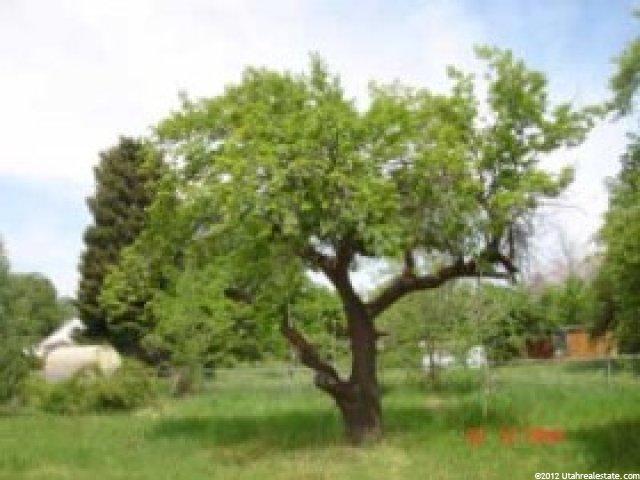 976 Orchard Ave, Ogden, UT 84404 — photo 6