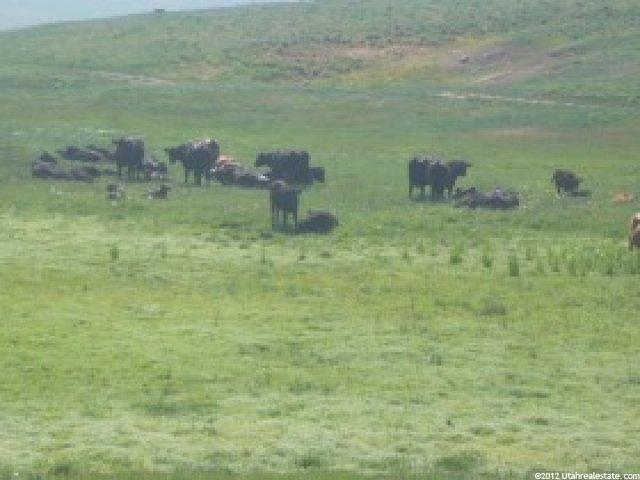500 N 2000 E, Laketown, UT 84038 — photo 3
