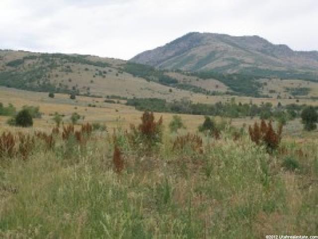 4536 N 4175 E #118, Eden, UT 84310 — photo 6