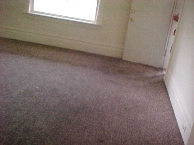 572 E 21st St S, Ogden, UT 84401 — photo 8