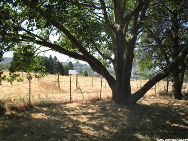 3387 S 200 W, Bountiful, UT 84010 — photo 10