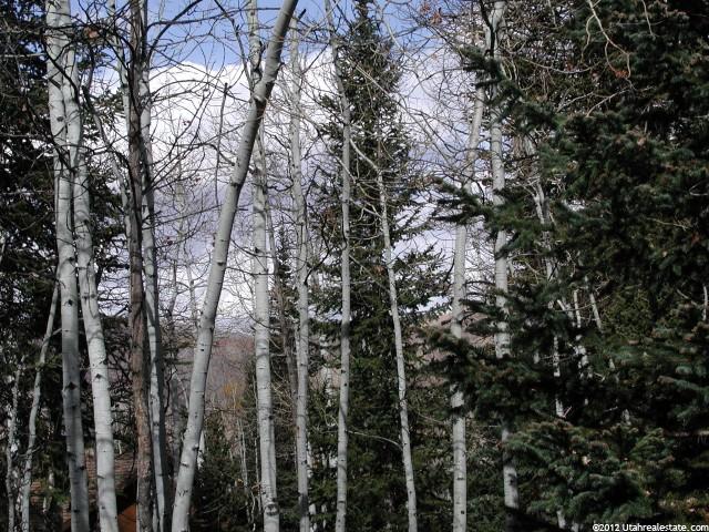 83 Ashley Dr #83, Oakley, UT 84055 — photo 11