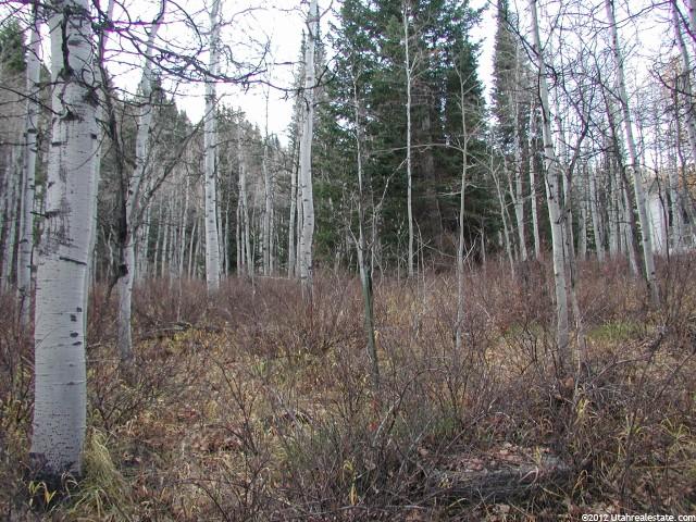 83 Ashley Dr #83, Oakley, UT 84055 — photo 12