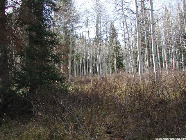 83 Ashley Dr #83, Oakley, UT 84055 — photo 3