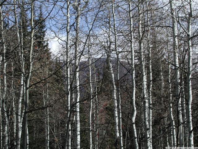 83 Ashley Dr #83, Oakley, UT 84055 — photo 8