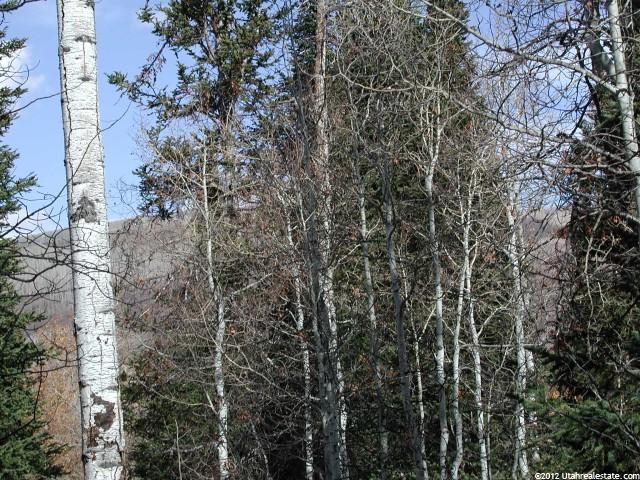 83 Ashley Dr #83, Oakley, UT 84055 — photo 9