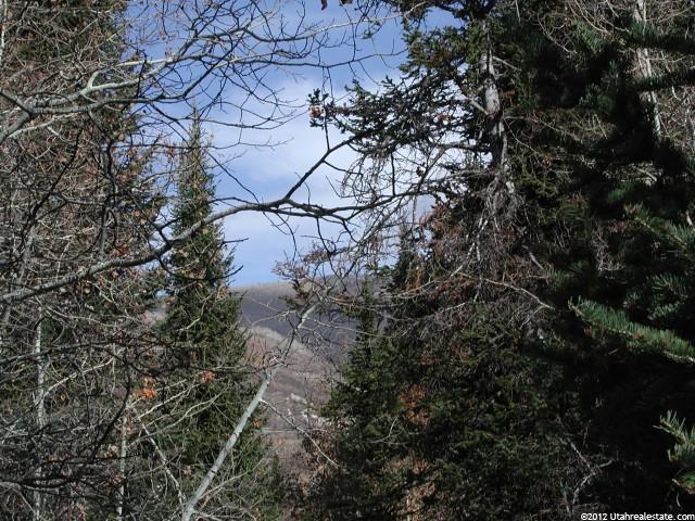 83 Ashley Dr #83, Oakley, UT 84055 — photo 10