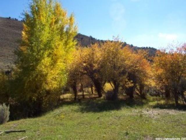 8398 N Hwy 302, Summit County, UT 84061 — photo 9