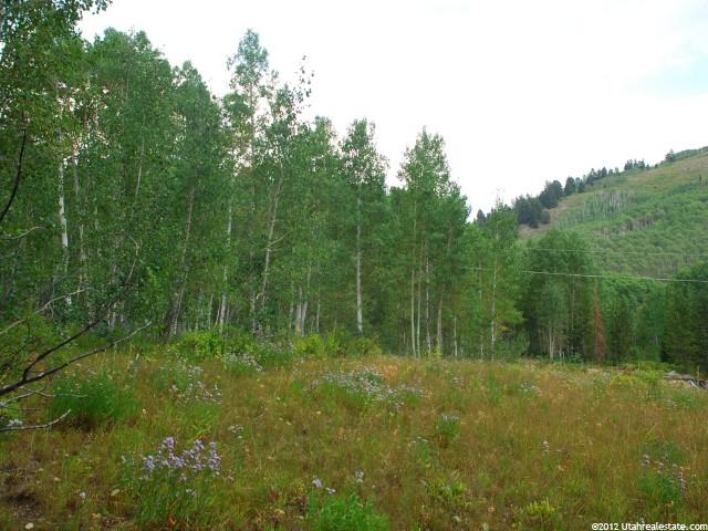 5033 N Pond Rd #44, Midway, UT 84049 — photo 11
