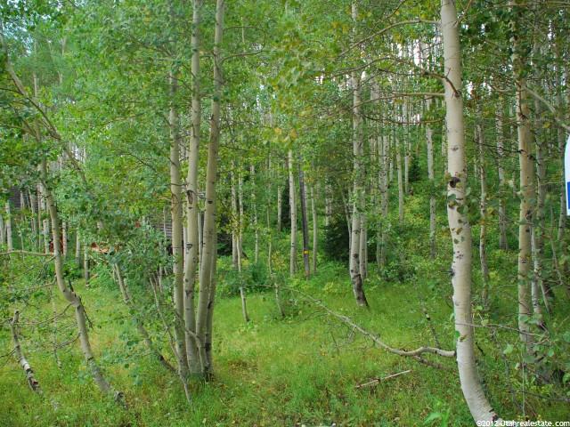 5033 N Pond Rd #44, Midway, UT 84049 — photo 5