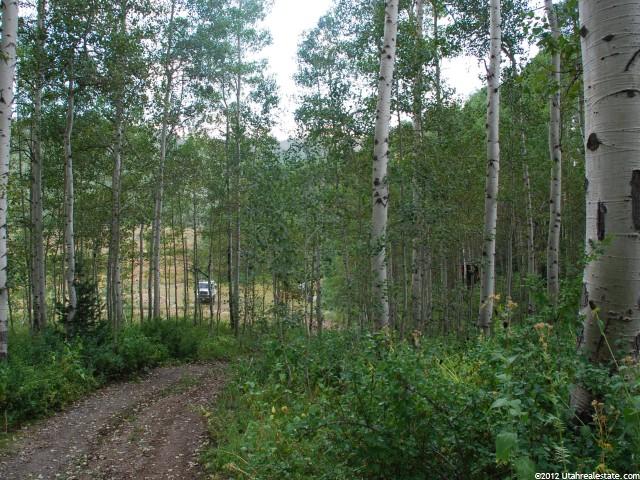 5033 N Pond Rd #44, Midway, UT 84049 — photo 6
