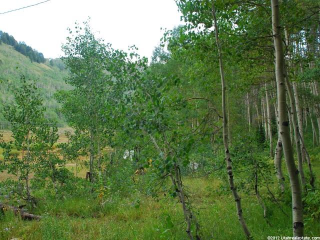 5033 N Pond Rd #44, Midway, UT 84049 — photo 7