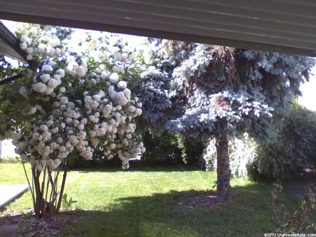 290 N 1200 W, Clearfield, UT 84015 — photo 12