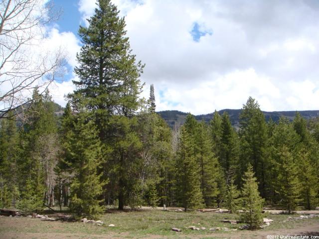 78 Alpine Acres, Oakley, UT 84055 — photo 6