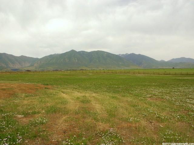997 E Brookfield Ave, Erda, UT 84074 — photo 12