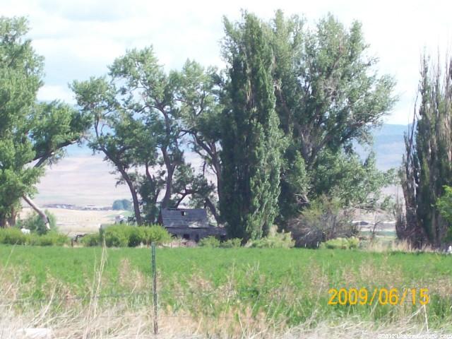 375 E Sugar Factory Ln E, Centerfield, UT 84622 — photo 4