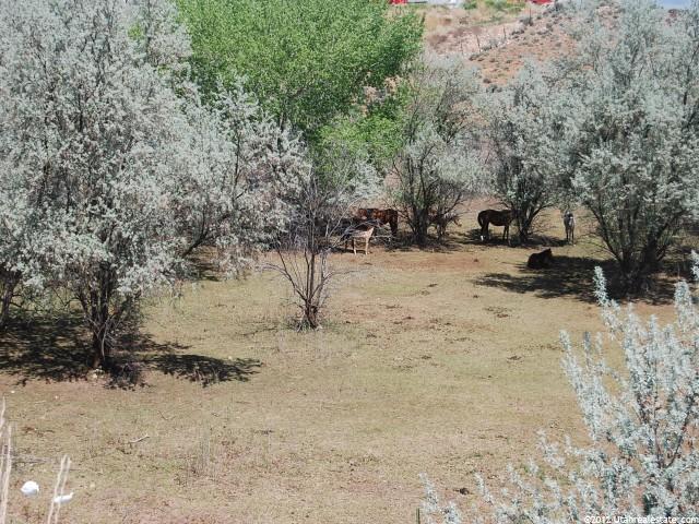 4000 N 2000 W, Roosevelt, UT 84066 — photo 5