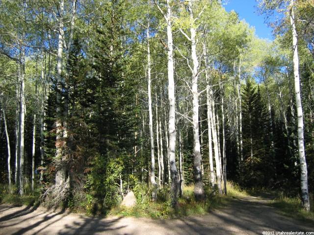 5289 N Pinecone Rd #172, Midway, UT 84049 — photo 2